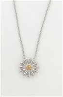 Collar Morellato Mujer Family in Acero Cristallo SJU03 - SJU03